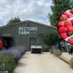 Rectory Farm Scraps PYO Tickets Amid Heatwave: Oxford 2026