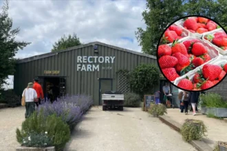 Rectory Farm Scraps PYO Tickets Amid Heatwave: Oxford 2026