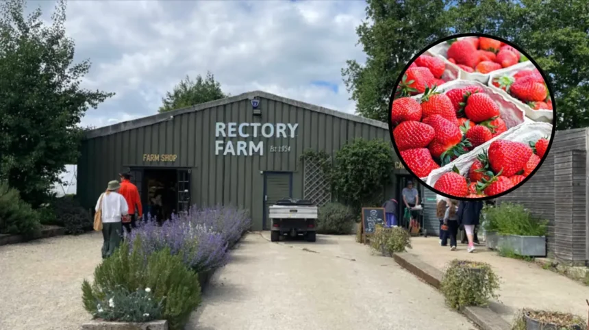 Rectory Farm Scraps PYO Tickets Amid Heatwave: Oxford 2026