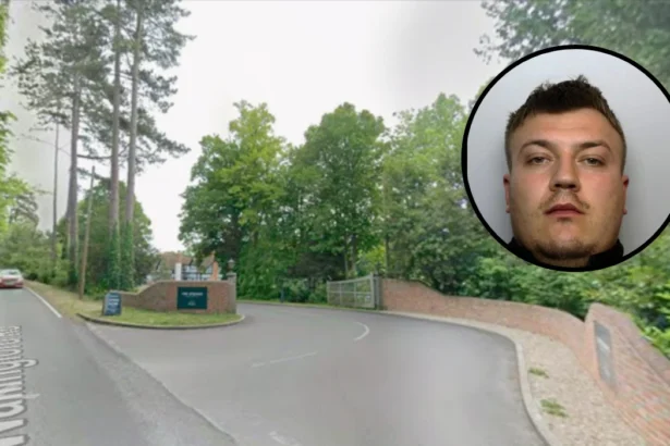 Drug Dealer Luke Hitchcox Jailed For MDMA Stash Wallingford 2026