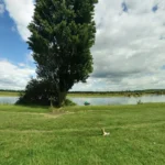 Port Meadow Oxford History, Ecology, and Significance