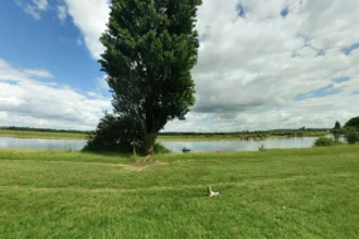 Port Meadow Oxford History, Ecology, and Significance