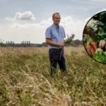 UK Vegetable Shortage and Drought Crisis in London 2026
