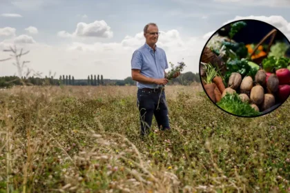 UK Vegetable Shortage and Drought Crisis in London 2026