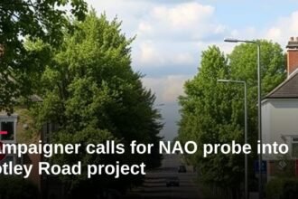 Campaigner calls for NAO probe into Botley Road project